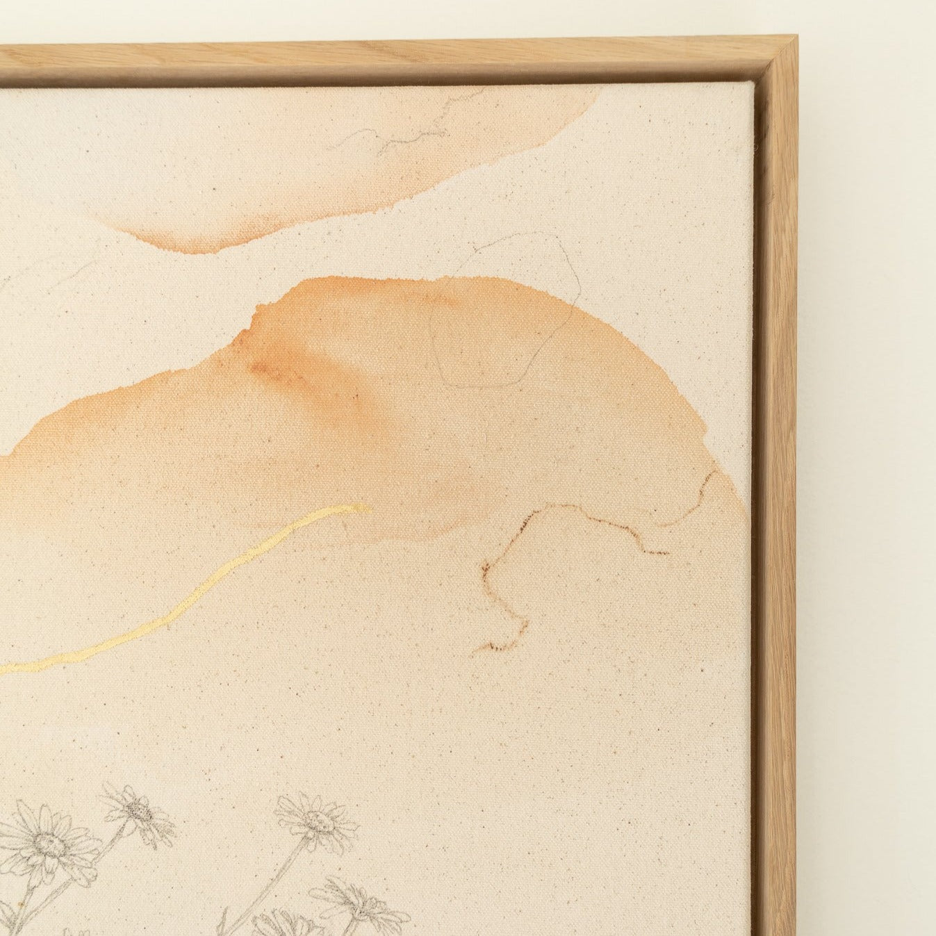 Field Full of Daisies