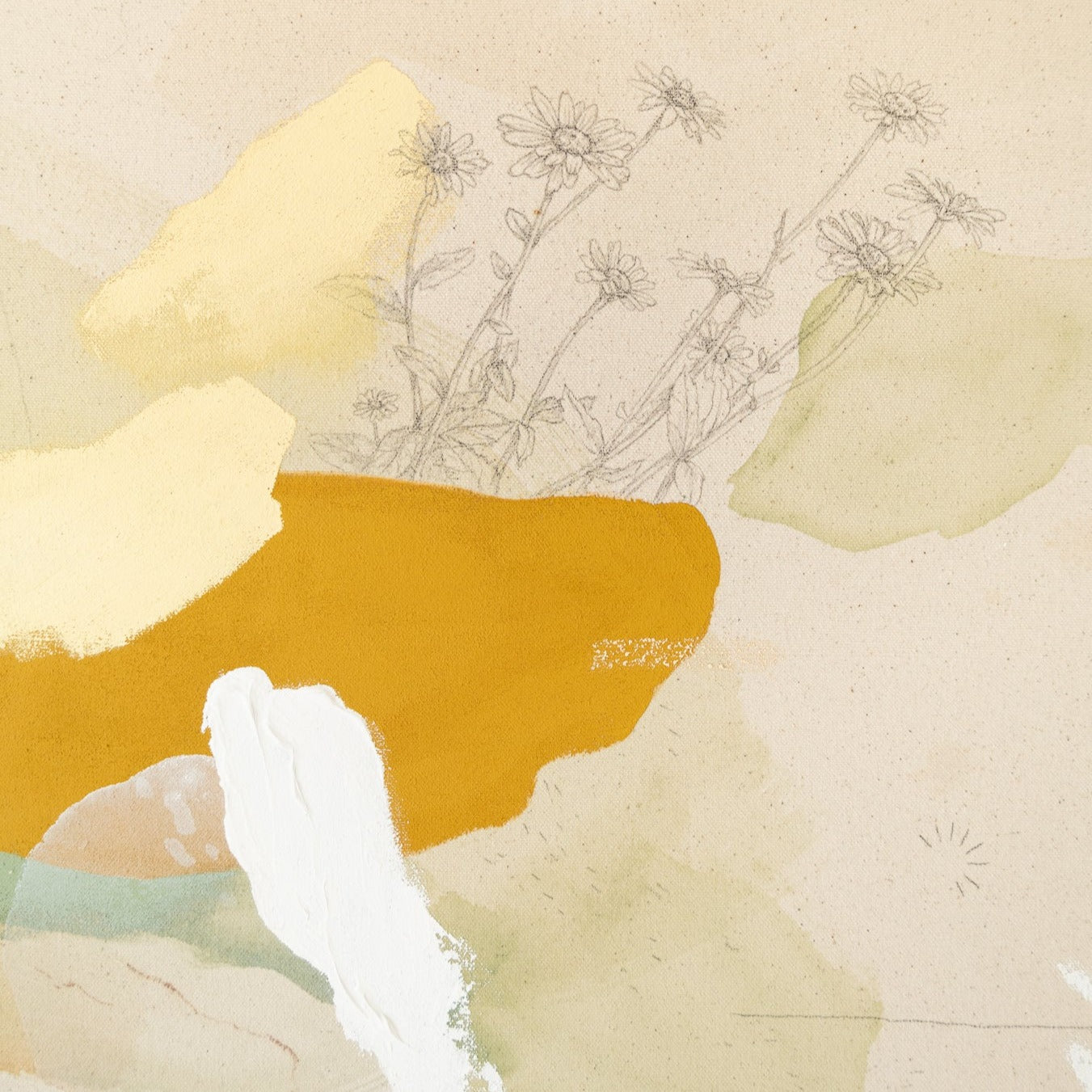 Field Full of Daisies