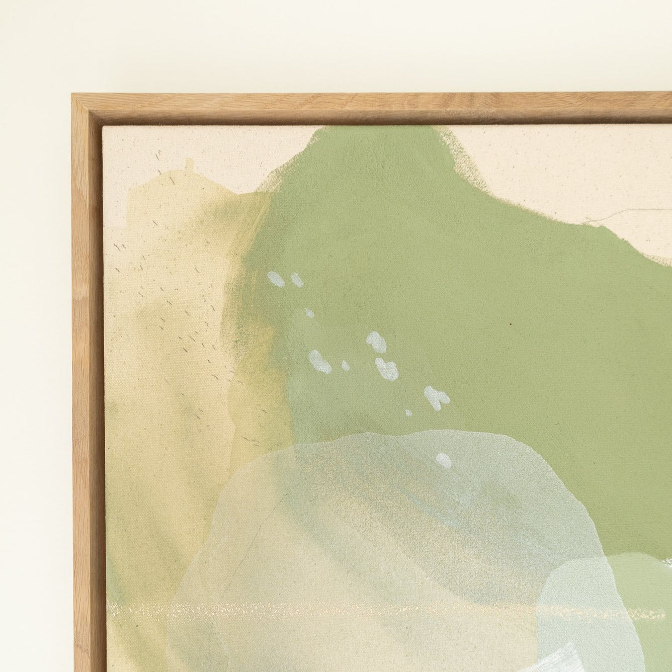 Field Full of Daisies